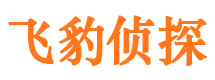 萨迦侦探公司